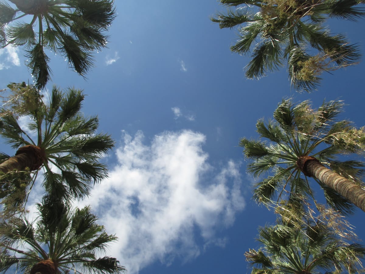 La Palma - die Erste