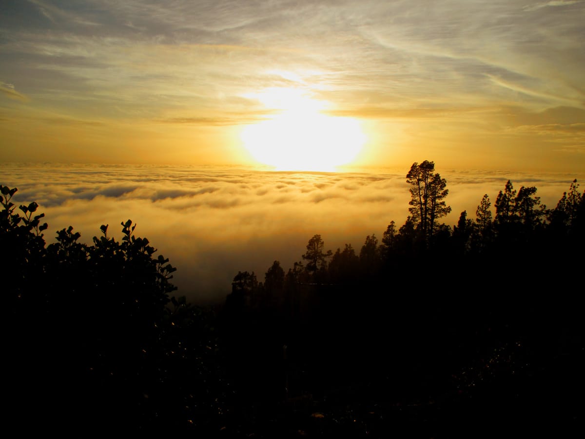 La Palma - die Zweite