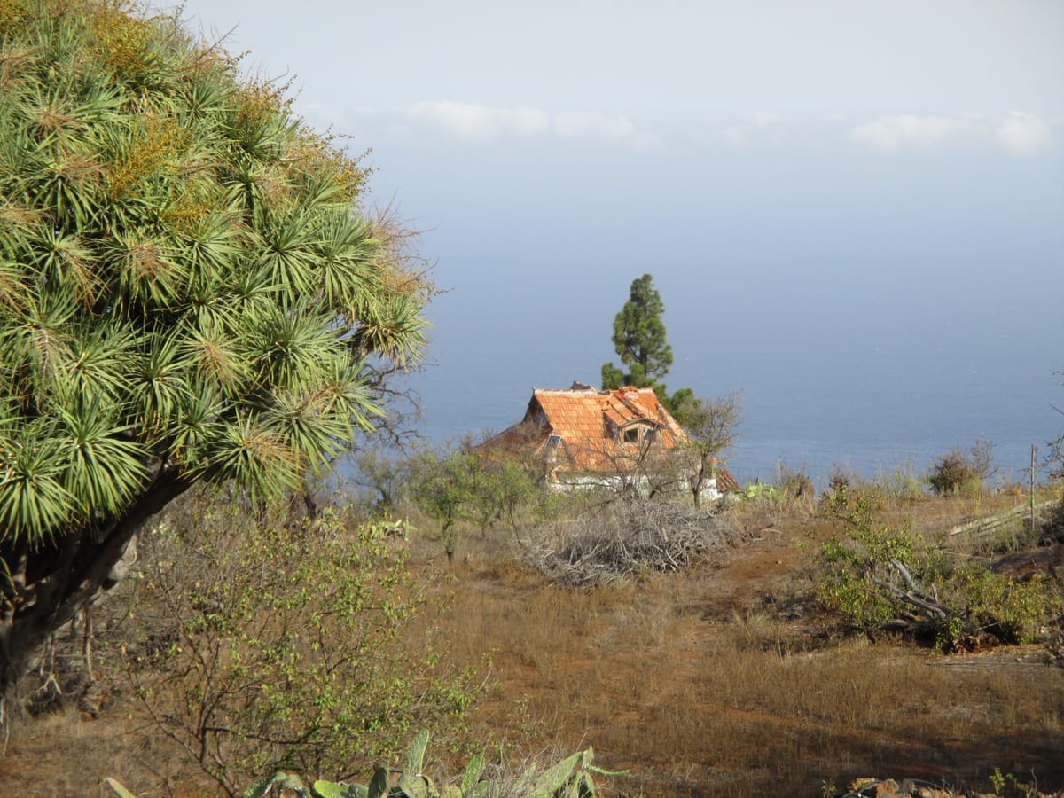 La Palma – Cuevas Buracas