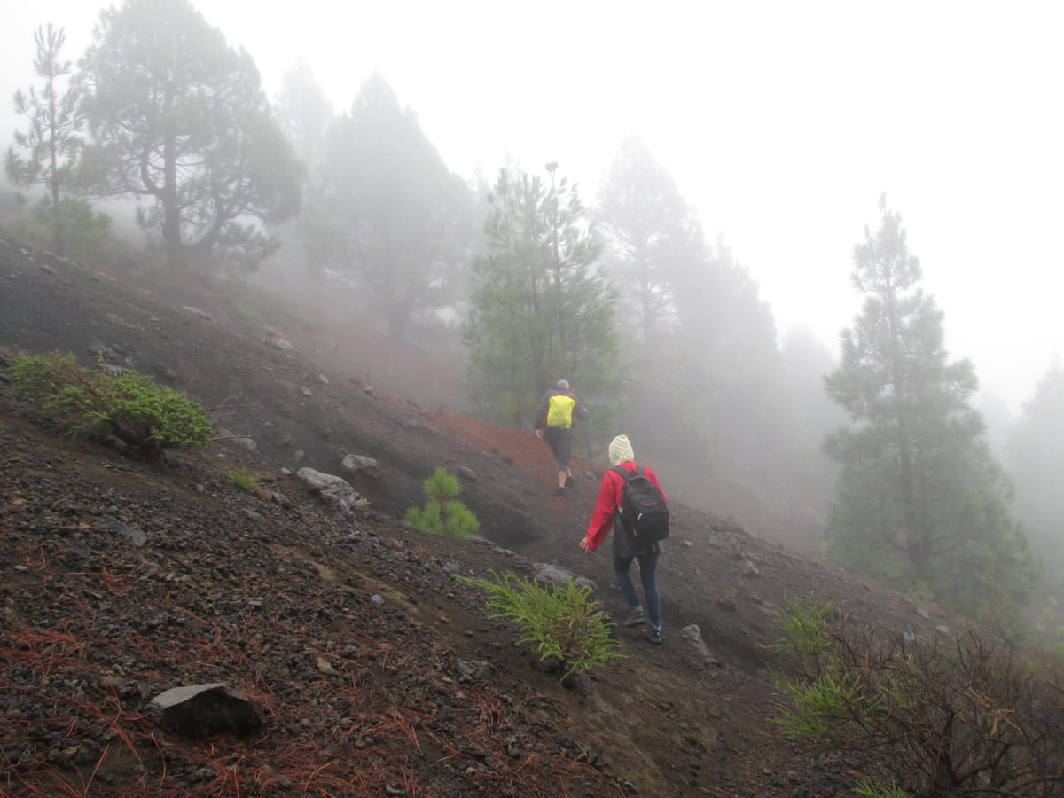 La Palma – Birigoyo (Nebelwanderung)