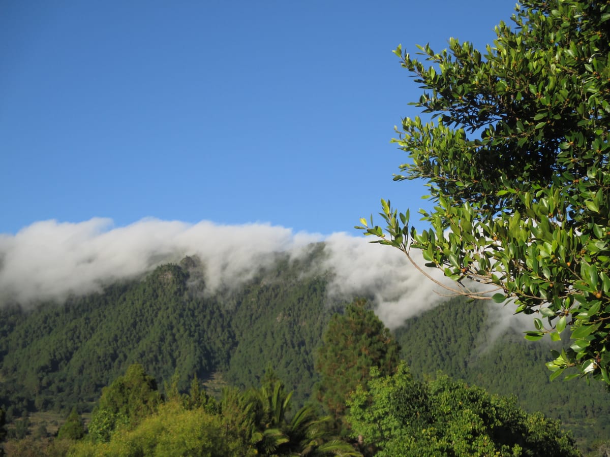 Corona-Reisevorbereitungen