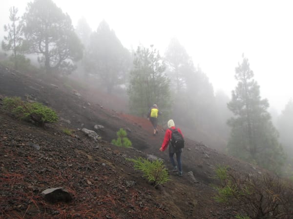 La Palma – Birigoyo (Nebelwanderung)